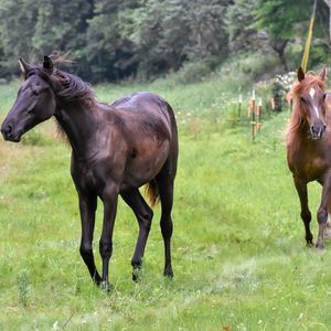 Meet your Posher, Karen